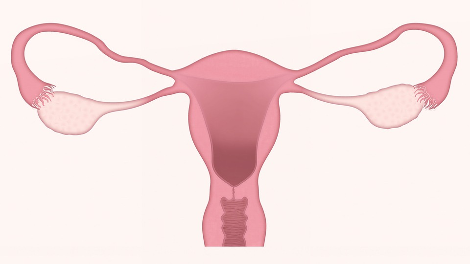 7 Gejala kista ovarium yang mudah dikenali, penting kamu tahu