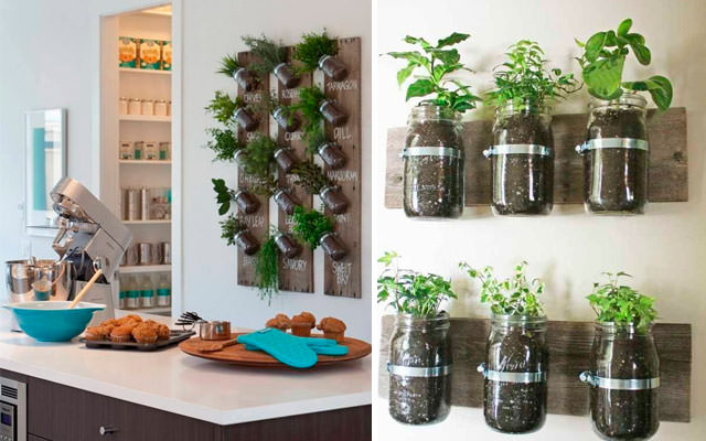 10 Inspirasi berkebun di lahan sempit, bikin rumah makin asri