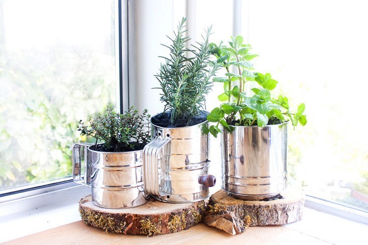 10 Inspirasi berkebun di lahan sempit, bikin rumah makin asri