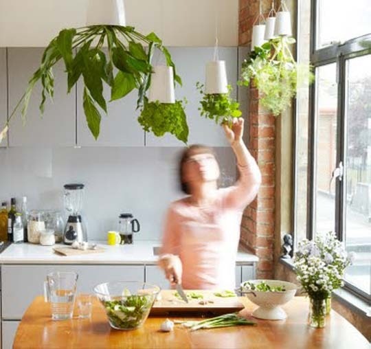 10 Inspirasi berkebun di lahan sempit, bikin rumah makin asri