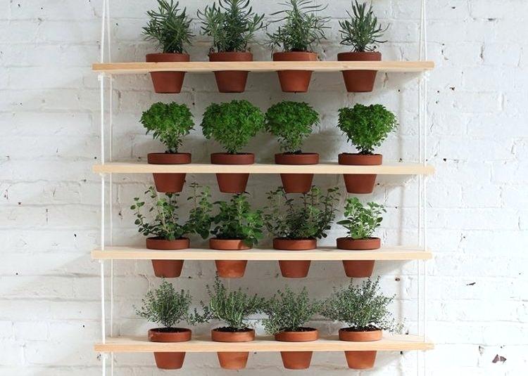 10 Inspirasi berkebun di lahan sempit, bikin rumah makin asri