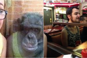 12 Potret pantulan kaca ini bikin mikir dua kali, bentuk objek lain