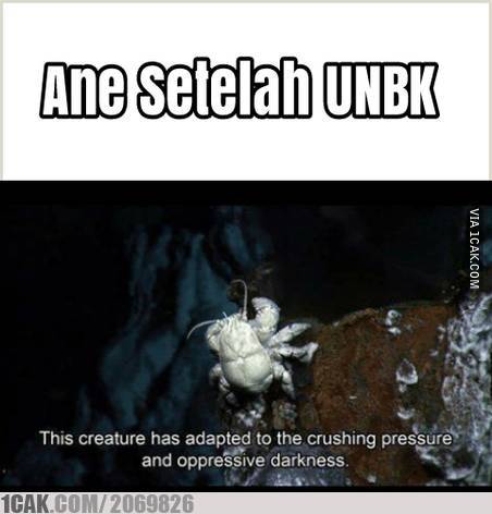 12 Meme lucu habis Ujian Nasional ini bikin tersenyum kecut