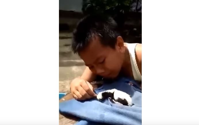 6 Kisah sedih anak menangis karena ayam mati, bikin ikut terharu