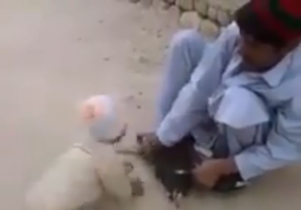 6 Kisah sedih anak menangis karena ayam mati, bikin ikut terharu