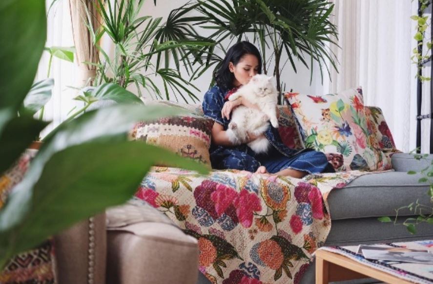 10 Seleb cantik ini hobi pelihara kucing, ada yang seharga mobil