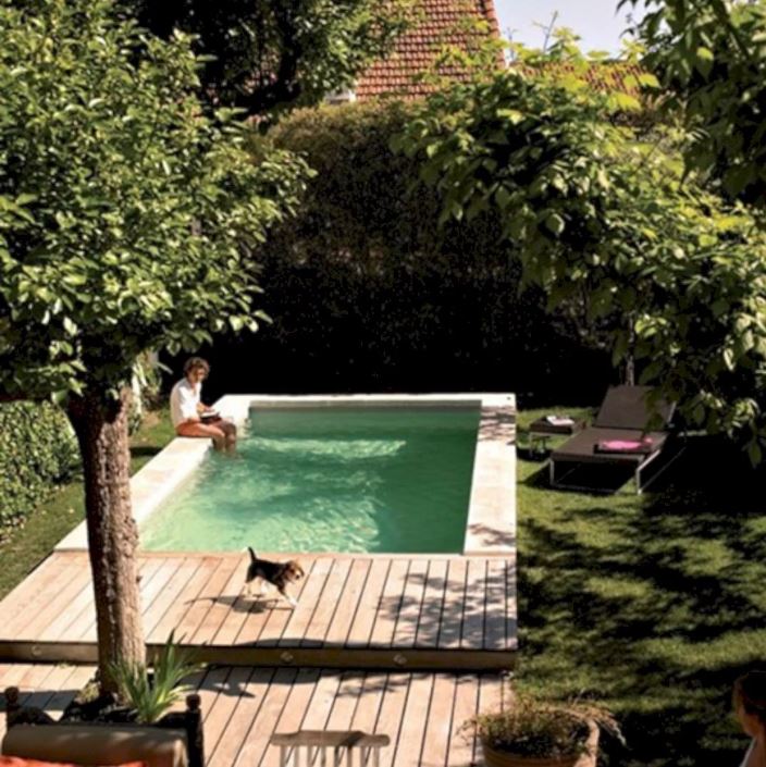 16 Desain kolam renang ini cocok buat rumah berhalaman sempit