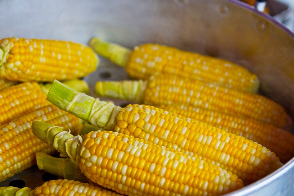 10 Makanan murah ini baik untuk kesehatan kulit, ada kangkung