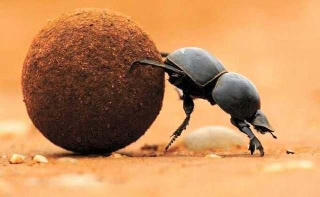 7 Potret karakter asli film kartun Larva, bikin bergidik geli