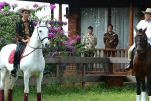 Prabowo dikabarkan akan naik kuda ke TPS