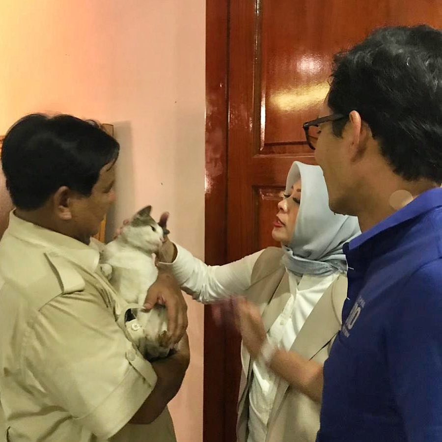 Mengenal Bobby, kucing Prabowo yang dibawa jenguk Sandiaga