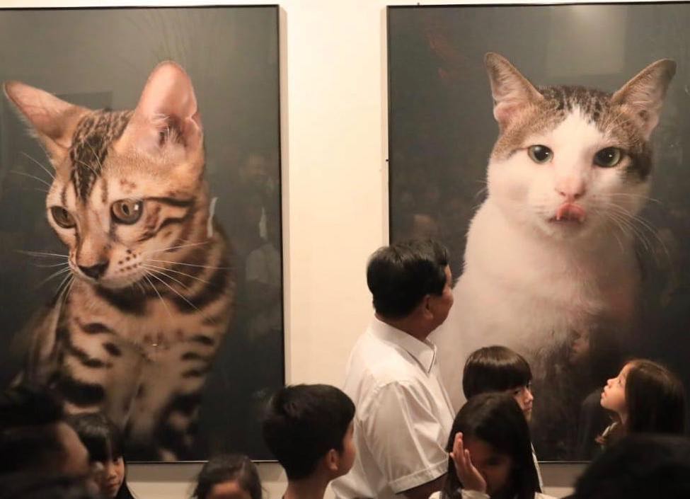 Mengenal Bobby, kucing Prabowo yang dibawa jenguk Sandiaga
