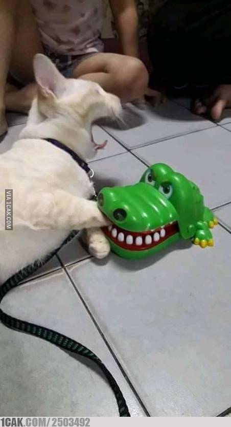 10 Momen lucu ala Srimulat ini bikin auto bilang ciat ciat ciat