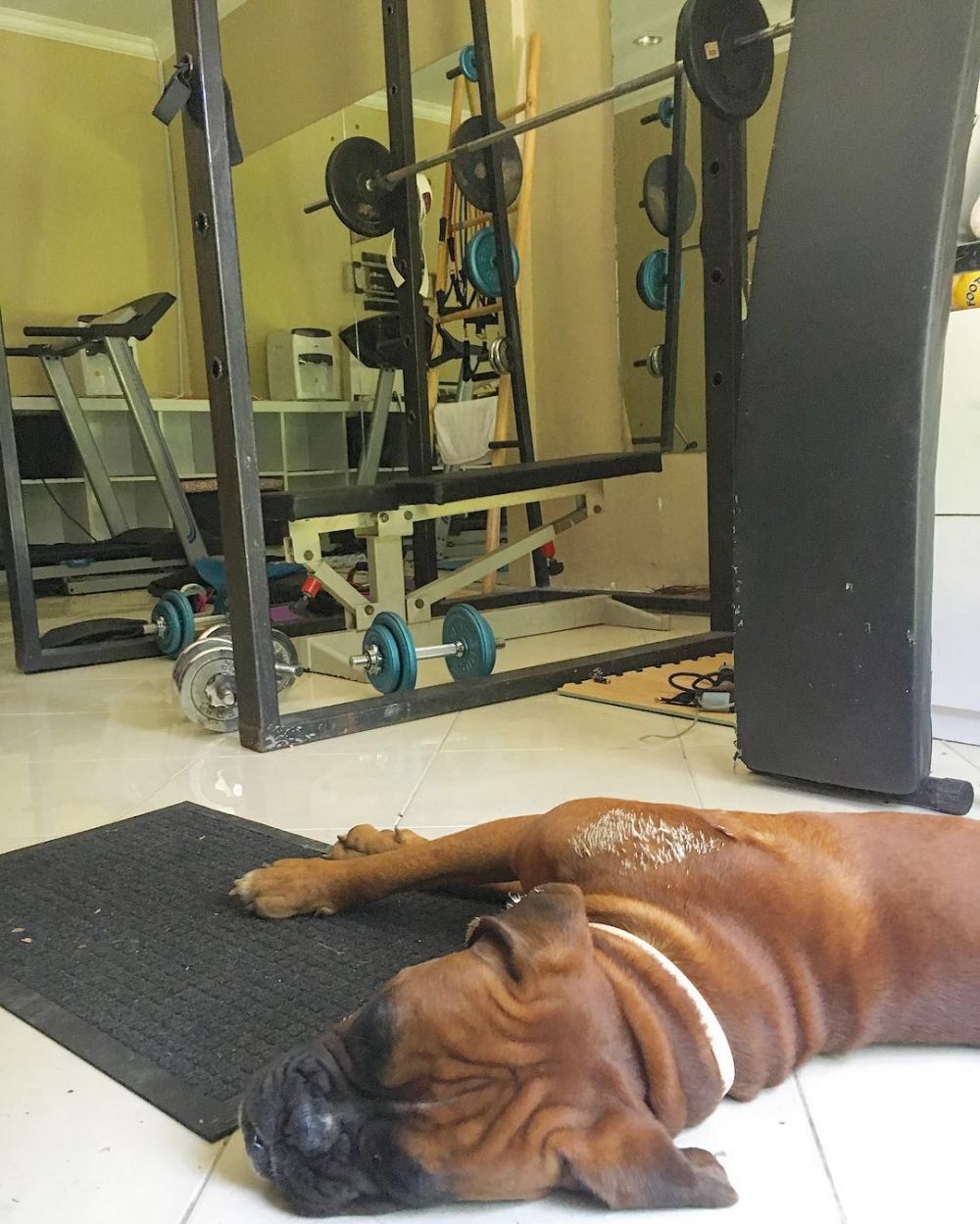 12 Potret rumah Nana Mirdad & Andrew White, mewah berkonsep villa