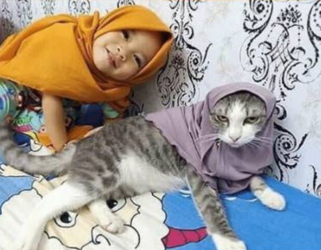 11 Foto lucu kekompakan anak-anak dan kucingnya ini kocak