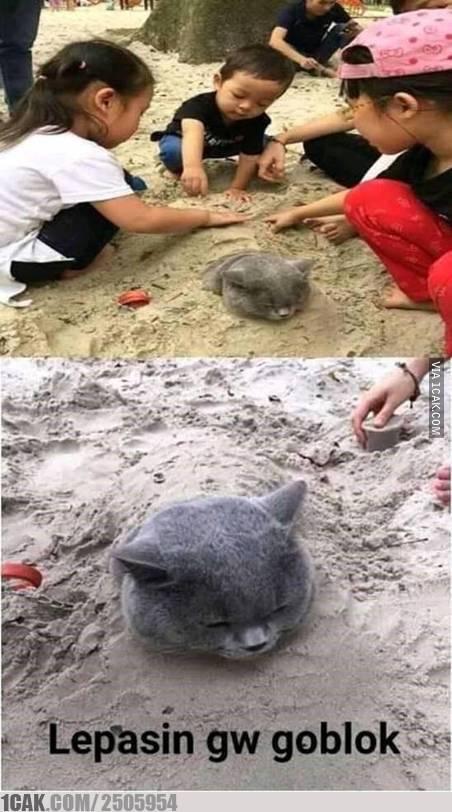 11 Foto lucu kekompakan anak-anak dan kucingnya ini kocak