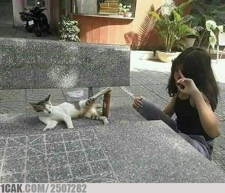 11 Foto lucu kekompakan anak-anak dan kucingnya ini kocak