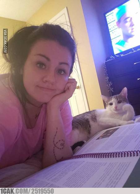 11 Foto lucu kekompakan anak-anak dan kucingnya ini kocak