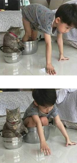 11 Foto lucu kekompakan anak-anak dan kucingnya ini kocak