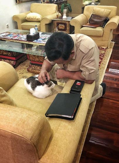 Selain kucing, Prabowo juga bisa 'ngobrol' dengan hewan-hewan ini