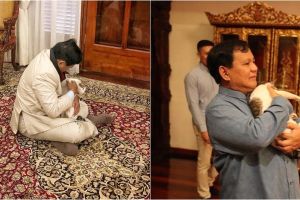 Selain kucing, Prabowo juga bisa 'ngobrol' dengan hewan-hewan ini