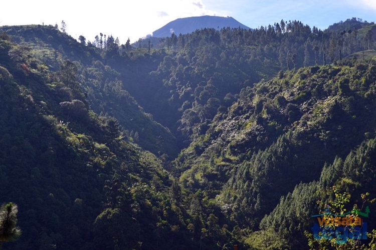  Menakjubkan 5 Tempat wisata di Tegal yang punya lanskap instagramable