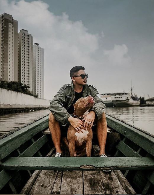 12 Momen keluarga Ryan Delon pelihara anjing, penyayang binatang