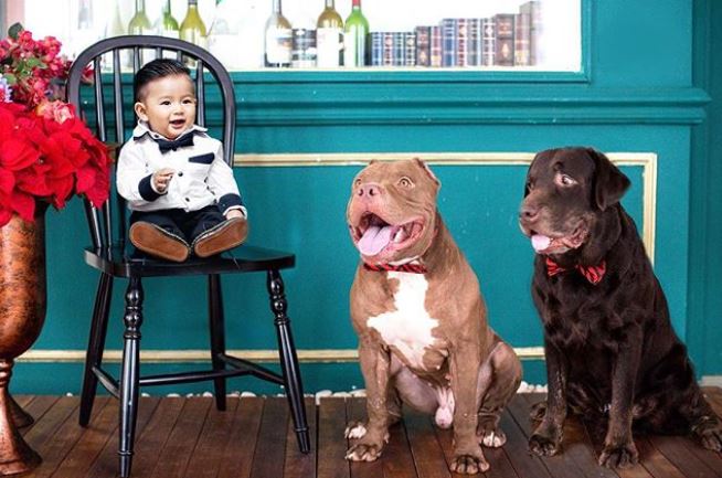 12 Momen keluarga Ryan Delon pelihara anjing, penyayang binatang