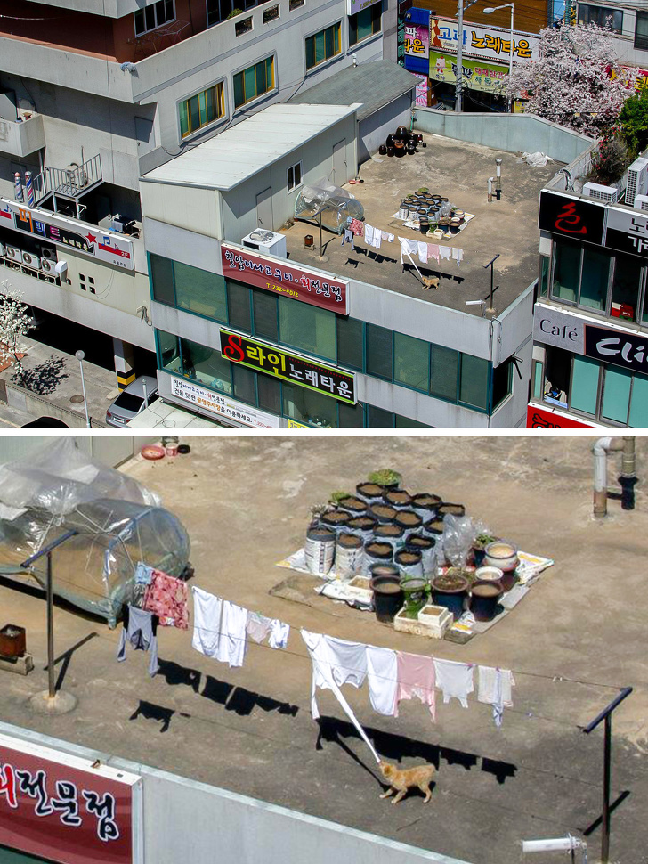 Ada momen tak terduga di 12 foto biasa ini, kudu lihat dua kali