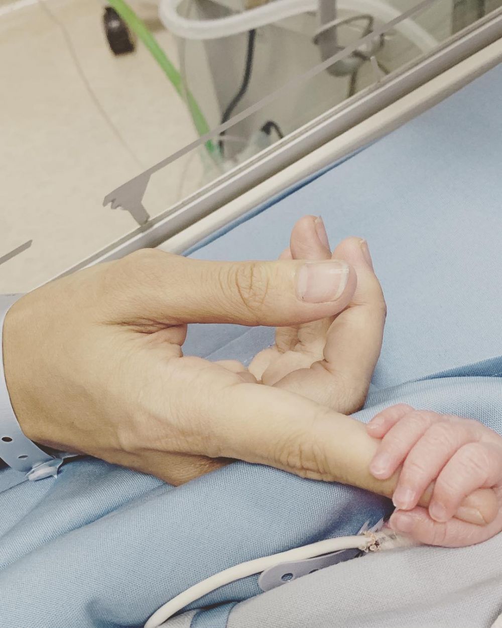 Nikita Mirzani minta bayaran bagi yang ingin ekspos muka anaknya