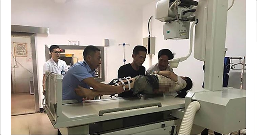 Turis ini ditendang gajah saat kencing sembarangan di hutan konservasi