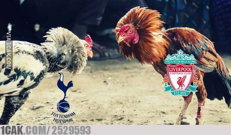 10 Meme lucu kemenangan dramatis Spurs atas Ajax