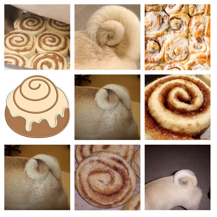 18 Kamuflase hewan ini mirip makanan & minuman, bikin perut lapar