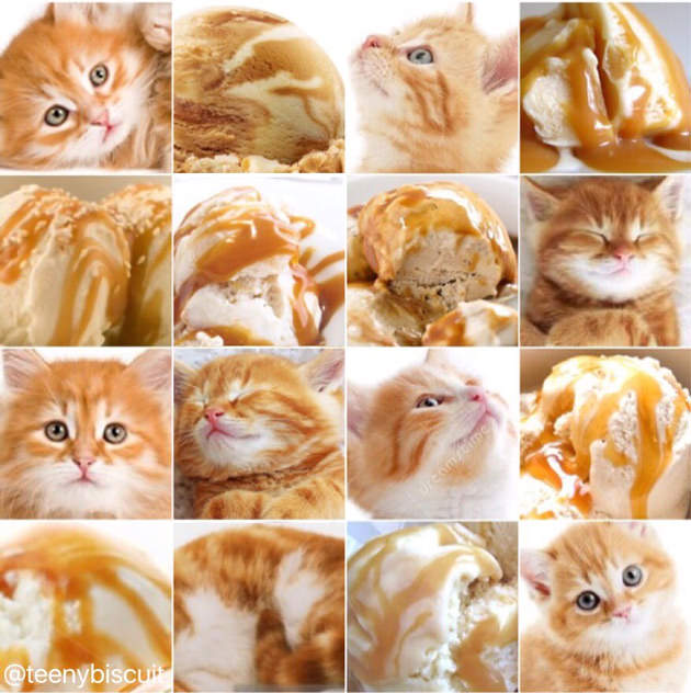 18 Kamuflase hewan ini mirip makanan & minuman, bikin perut lapar