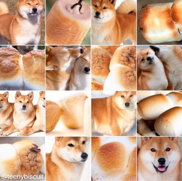 18 Kamuflase hewan ini mirip makanan & minuman, bikin perut lapar