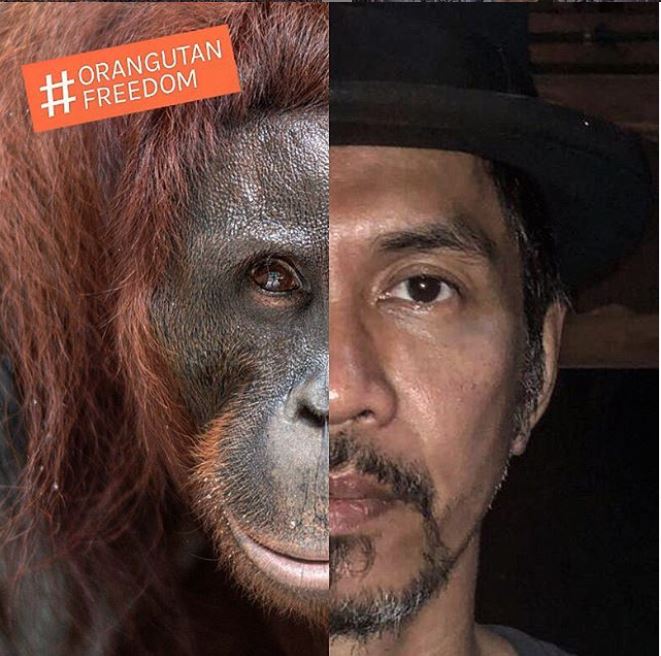 Kisah di balik foto seleb dan orangutan ini bikin salut