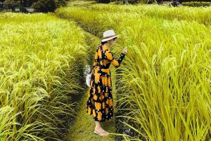 Posting foto liburan di Bali, caption Syahrini jadi sorotan