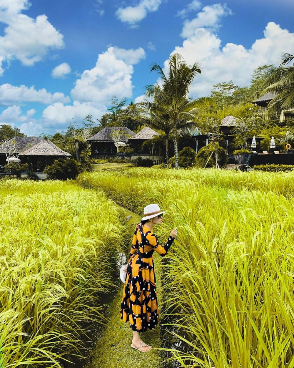 Jalan-jalan sawah di Bali, harga dress Syahrini bikin melongo