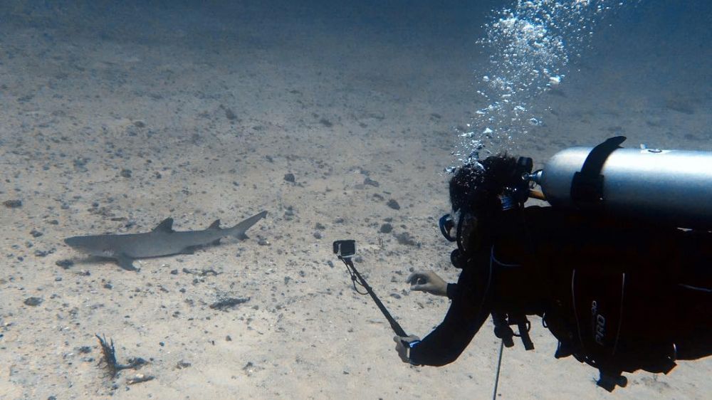 7 Aksi ekstrem Dimas Anggara, ada terjun payung sampai ketemu hiu