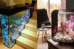13 Desain akuarium untuk mempercantik ruangan, pengusir stres