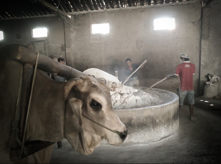 Mi lethek Bantul bertahan sejak 1940 di tengah gempuran mi instan