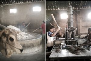 Mi lethek Bantul bertahan sejak 1940 di tengah gempuran mi instan