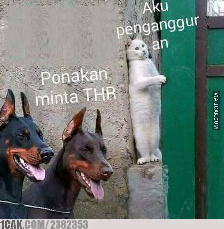 12 Meme lucu sebelum vs sesudah Lebaran ini ngeselin banget