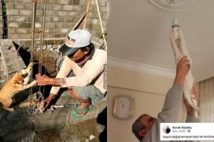 10 Potret lucu kerjasama kucing dan manusia ini bikin ngakak