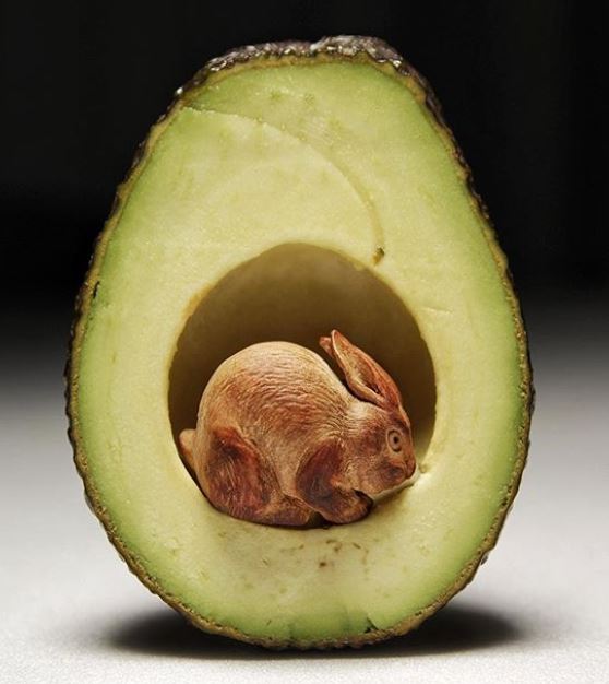  6 Ukiran bentuk hewan dari alpukat ini mirip aslinya, keren abis