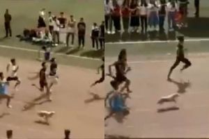 Video anjing tiba-tiba ikut lomba lari 100 meter, dapat juara lagi