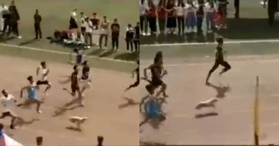 Video anjing tiba-tiba ikut lomba lari 100 meter, dapat juara lagi