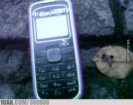 10 Meme lucu pelesetan BlackBerry ini bikin ketawa