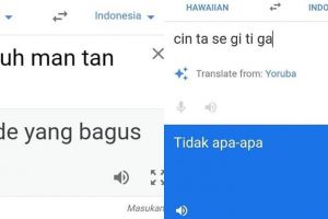 11 Terjemahan bertema cinta di Google Translate ini kocak!