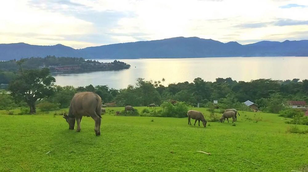 4 Tempat wisata rekomendasi terbaik saat ke Pulau Samosir